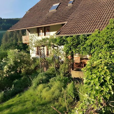 Room In Guest Room - Double Room Apple Blossom Schuttertal Exterior photo