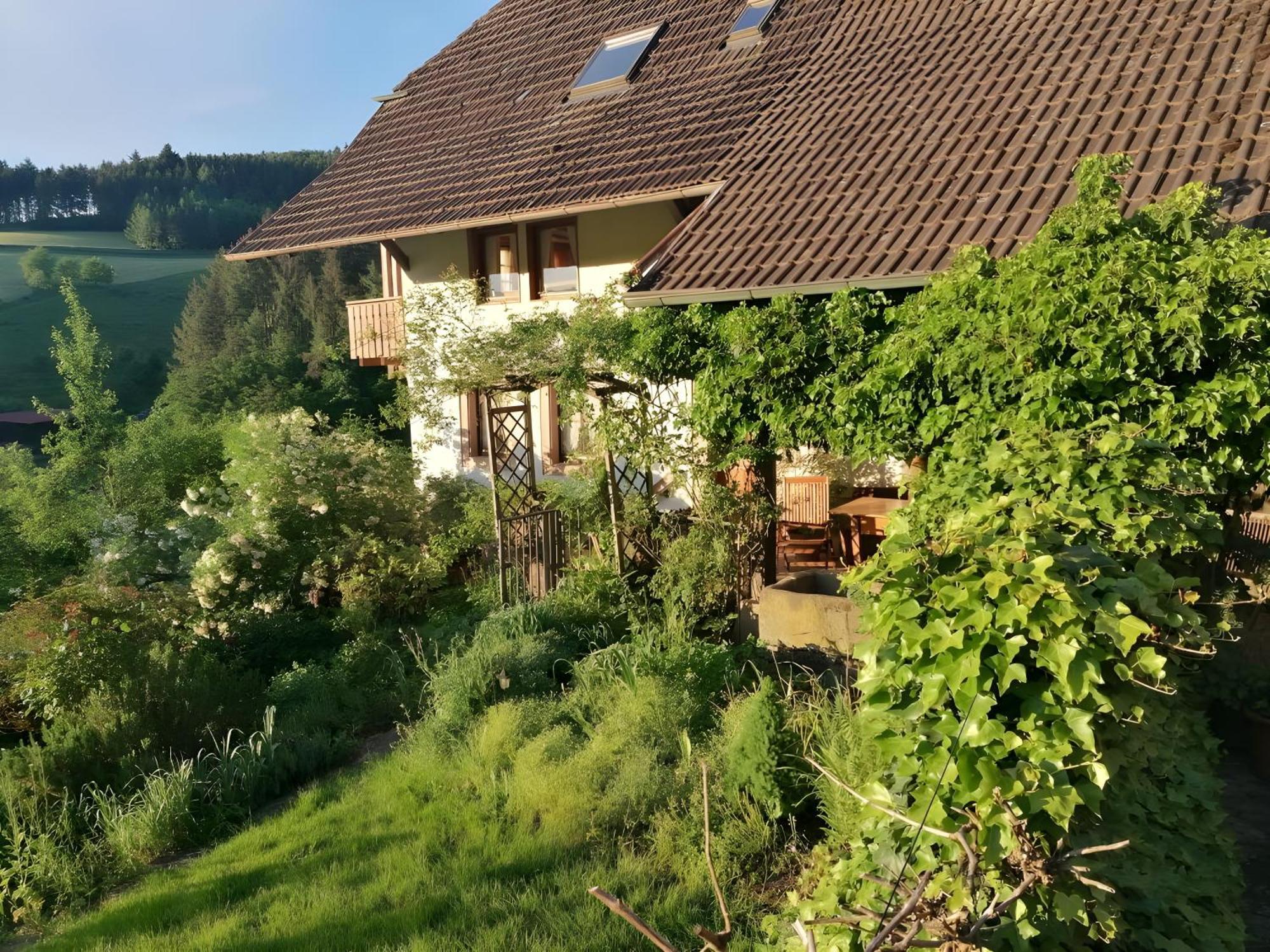 Room In Guest Room - Double Room Apple Blossom Schuttertal Exterior photo